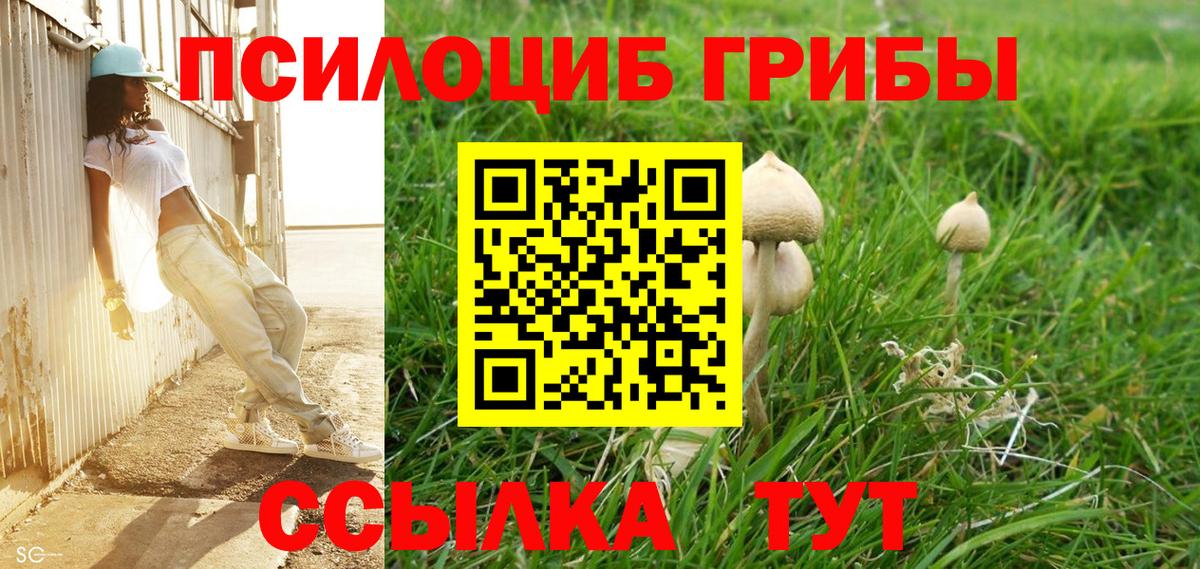 Псилоцибиновые грибы Magic Shrooms  Вход с VPN  Галлюциногенные грибы Psilocybe  Гусь-Хрустальный 